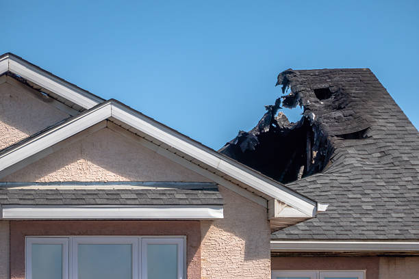 Top rated local Fire Damage Removal specialists in North Brunswick, NJ